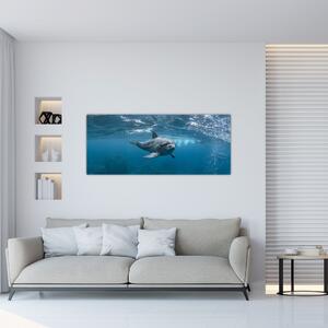 Kép - Delfin a felszín alatt (120x50 cm)