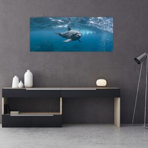 Kép - Delfin a felszín alatt (120x50 cm)