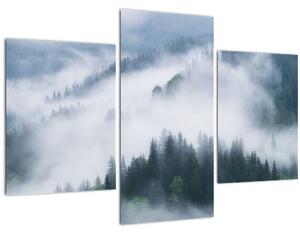 Kép - Fák a ködben (90x60 cm)