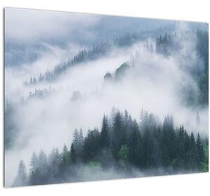 Kép - Fák a ködben (üvegen) (70x50 cm)