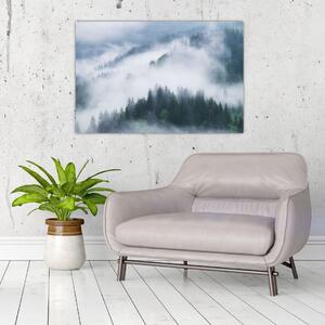 Kép - Fák a ködben (90x60 cm)