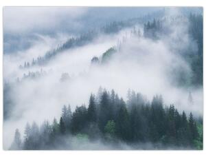 Kép - Fák a ködben (70x50 cm)