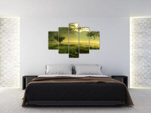 Kép - Ébredő erdő (150x105 cm)