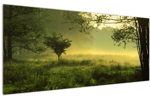 Kép - Ébredő erdő (120x50 cm)