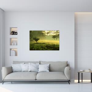 Kép - Ébredő erdő (90x60 cm)