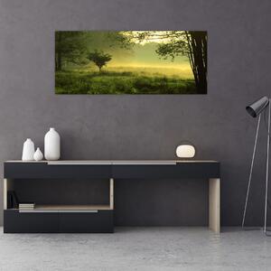 Kép - Ébredő erdő (120x50 cm)