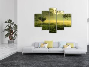Kép - Ébredő erdő (150x105 cm)
