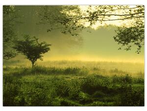 Kép - Ébredő erdő (70x50 cm)
