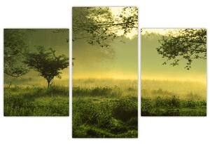 Kép - Ébredő erdő (90x60 cm)