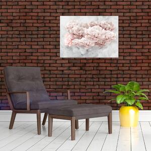 Kép - Rózsaszín virágok a falon (70x50 cm)
