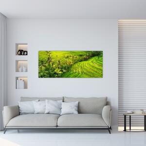 Kép - Rizs teraszok (120x50 cm)