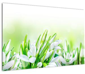 Kép - Hóvirág (90x60 cm)