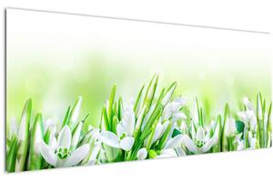 Kép - Hóvirág (120x50 cm)