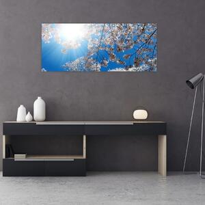 Kép - Cseresznyevirág (120x50 cm)