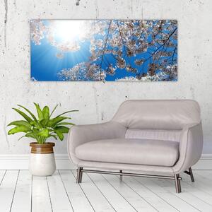 Kép - Cseresznyevirág (120x50 cm)
