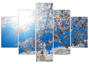 Kép - Cseresznyevirág (150x105 cm)