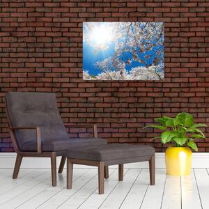 Kép - Cseresznyevirág (70x50 cm)