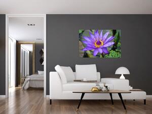 Kép - Lila virág (90x60 cm)