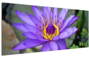 Kép - Lila virág (120x50 cm)