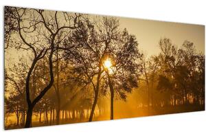Kép - Napkelte (120x50 cm)