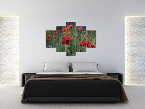 Kép - Rét mák virággal (150x105 cm)