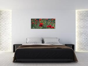 Kép - Rét mák virággal (120x50 cm)