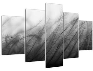 Kép - Fű a szélben (150x105 cm)