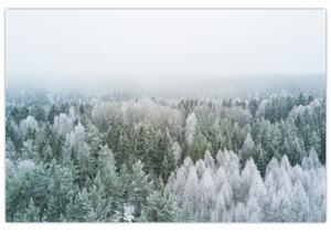 Kép - Havas erdőcsúcsok (90x60 cm)
