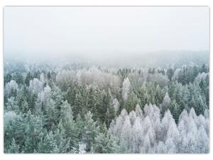 Kép - Havas erdőcsúcsok (70x50 cm)