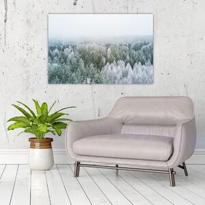 Kép - Havas erdőcsúcsok (90x60 cm)