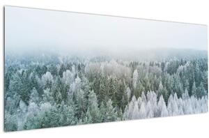 Kép - Havas erdőcsúcsok (120x50 cm)