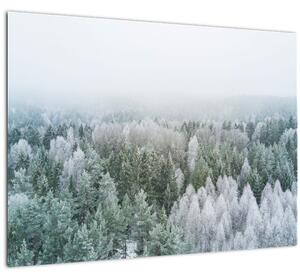 Kép - Havas erdőcsúcsok (70x50 cm)