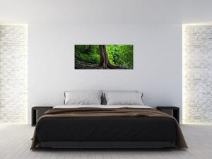 Kép - Öreg fa gyökere (120x50 cm)
