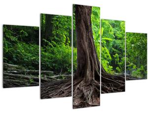 Kép - Öreg fa gyökere (150x105 cm)