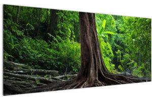 Kép - Öreg fa gyökere (120x50 cm)