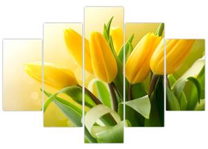 Kép - Sárga tulipán (150x105 cm)