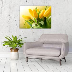 Kép - Sárga tulipán (70x50 cm)