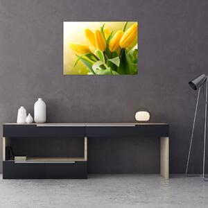 Kép - Sárga tulipán (70x50 cm)