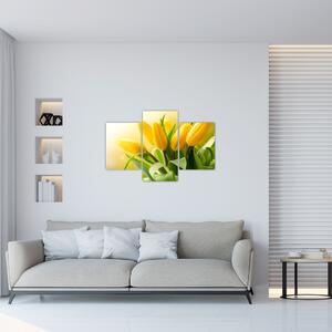 Kép - Sárga tulipán (90x60 cm)