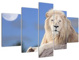 Kép - Fehér oroszlán (150x105 cm)