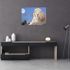 Kép - Fehér oroszlán (70x50 cm)