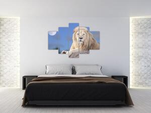 Kép - Fehér oroszlán (150x105 cm)