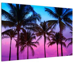 Kép - Pálmafák Miamiban (90x60 cm)