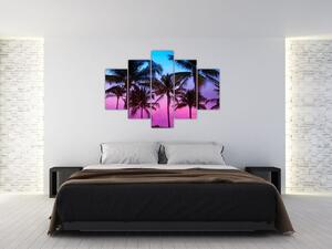 Kép - Pálmafák Miamiban (150x105 cm)