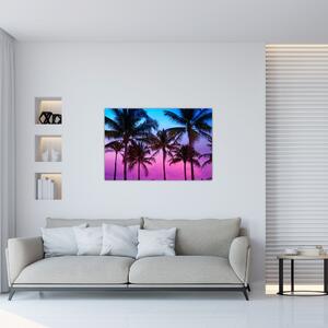 Kép - Pálmafák Miamiban (90x60 cm)