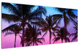 Kép - Pálmafák Miamiban (120x50 cm)