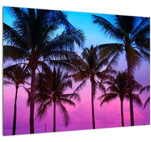 Kép - Pálmafák Miamiban (üvegen) (70x50 cm)