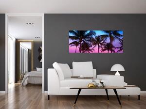 Kép - Pálmafák Miamiban (120x50 cm)