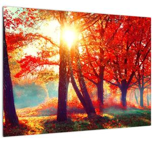 Kép - Őszi táj (70x50 cm)