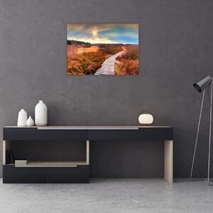 Kép - Őszi út (70x50 cm)